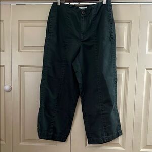 LOFT Dark Green Curvy Wide-Leg Button Front Pants